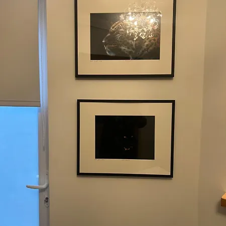 Magnifique Au Coeur Du 8e Daire Paris